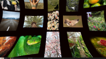 Shader Grid Two JavaScript Plugin Screenshot 6